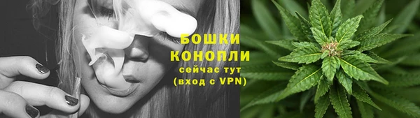 кристаллы Болотное